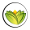 The Ayurveda Experience